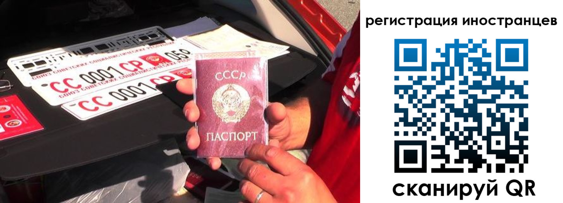 прописка гарантия в Бологом